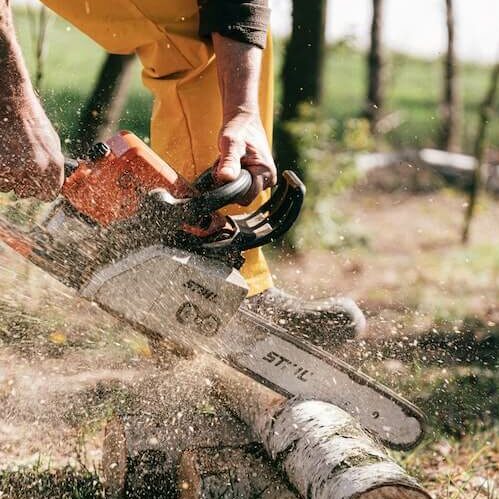 tree service in gainesville texas tx